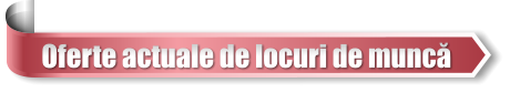 Oferte actuale de locuri de muncă